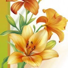 Схема вышивки «Лилии»