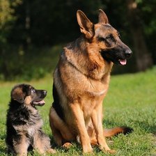 Схема вышивки «Равняйсь!»