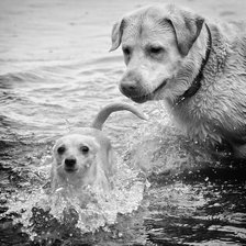 Схема вышивки «Смелей, малыш!»