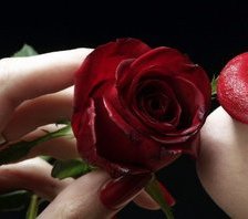 Схема вышивки «№983»