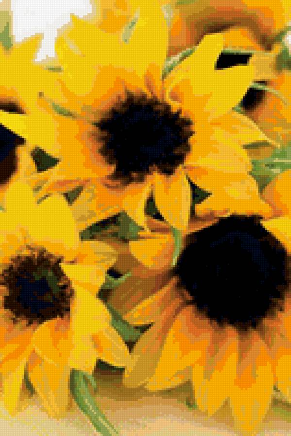 подсолнухи - цветы - предпросмотр