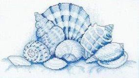 Раковины - разное, море, картинка - оригинал