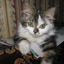 Схема вышивки «Мурка»