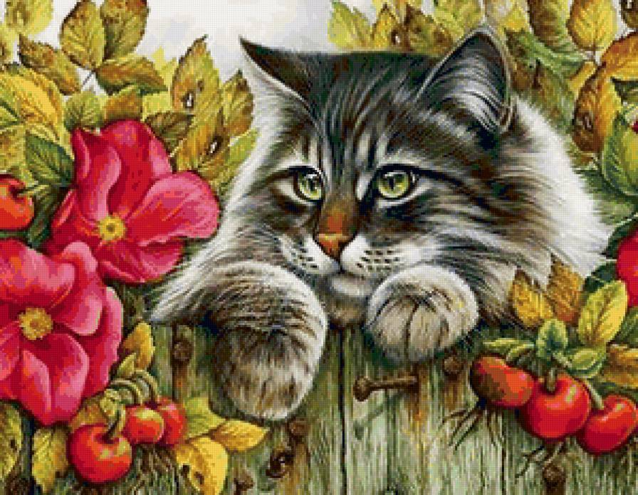 кот - предпросмотр