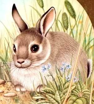 зайчик - оригинал