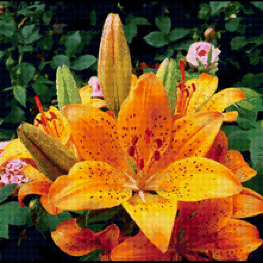 лилии - цветы - предпросмотр