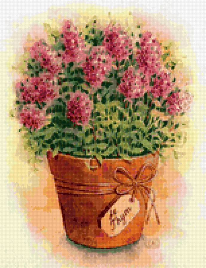 тимьян - тимьян, чабрец, цветы, акварель, искусство, растения - предпросмотр