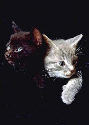 №2335 - оригинал