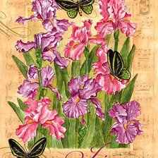 Схема вышивки «Ирисы и бабочки»