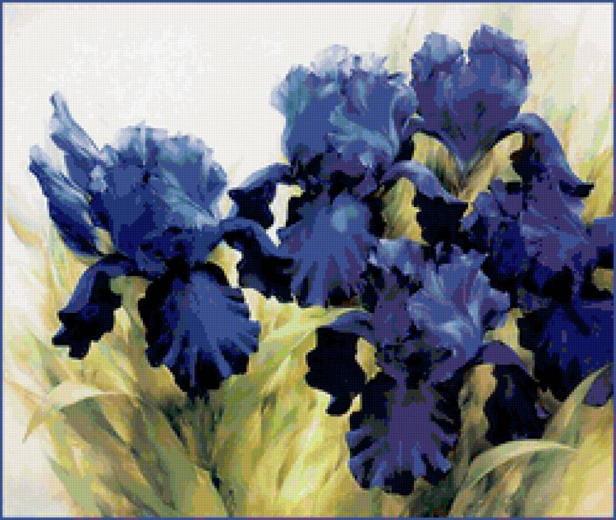 ирисы - растения, природа, красота, картина, весенн, ирисы, цветы, букет - предпросмотр