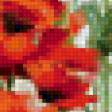 Предпросмотр схемы вышивки «маки» (№2616)