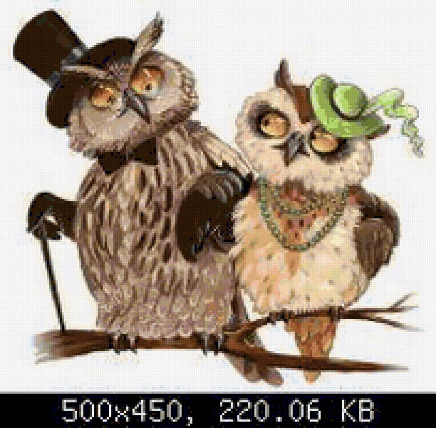 Борьба интеллектов - птицы - предпросмотр