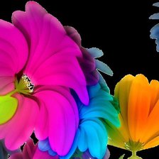 Схема вышивки «маки»