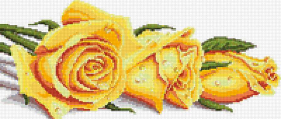 розы3 - цветы - предпросмотр