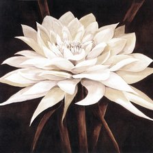 Схема вышивки «Белый цветок»