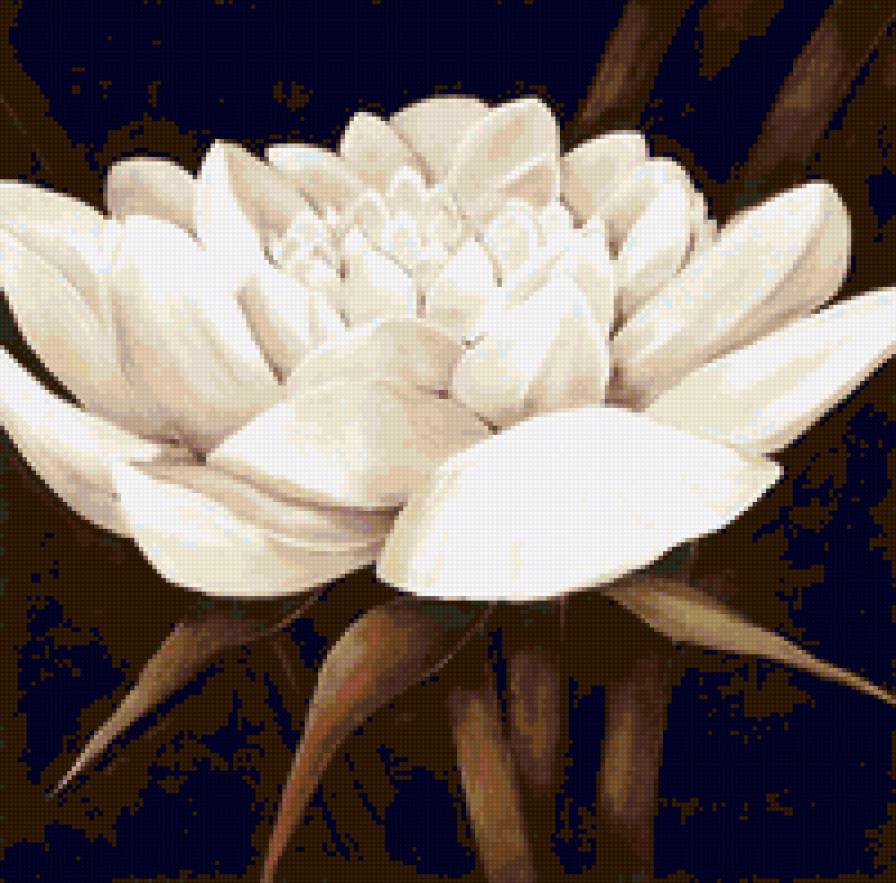 Белый цветок - цветок, хризантема, для подушки - предпросмотр