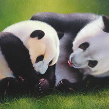 Схема вышивки «Панда»