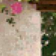 Предпросмотр схемы вышивки «плетистые розы» (№3131)