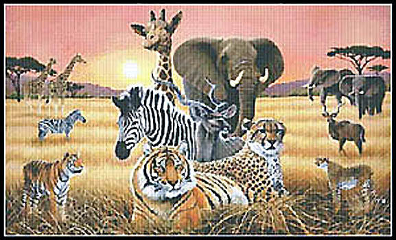 сафари - оригинал