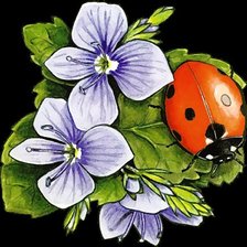 Схема вышивки «Божья коровка»