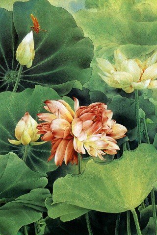 №3322 - оригинал