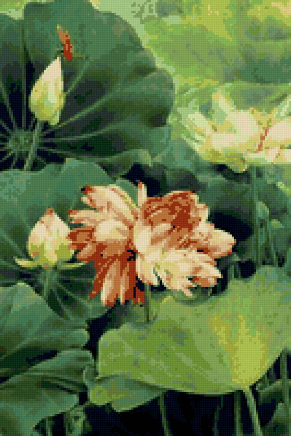 №3322 - предпросмотр