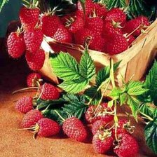 Схема вышивки «малина»