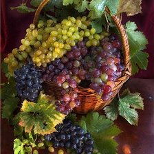 Схема вышивки «корзина винограда»