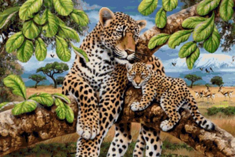 №3603 - предпросмотр