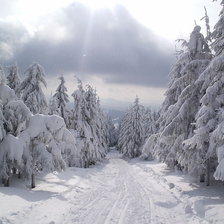 Схема вышивки «Снежная дорога»
