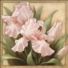 Схема вышивки «Ирисы»