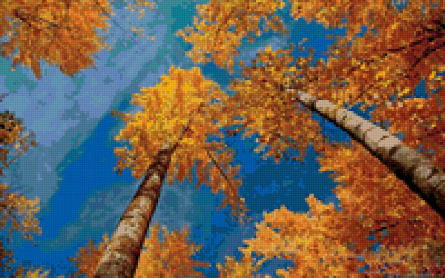 березки - предпросмотр