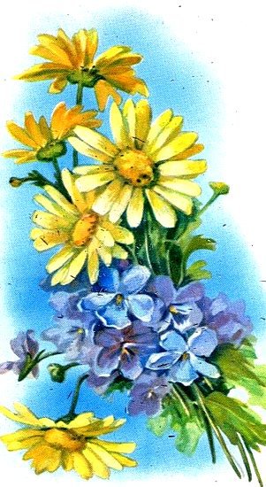 Цветы - цветы, красота, флора, фиалки, нежные лепестки, цветок - оригинал