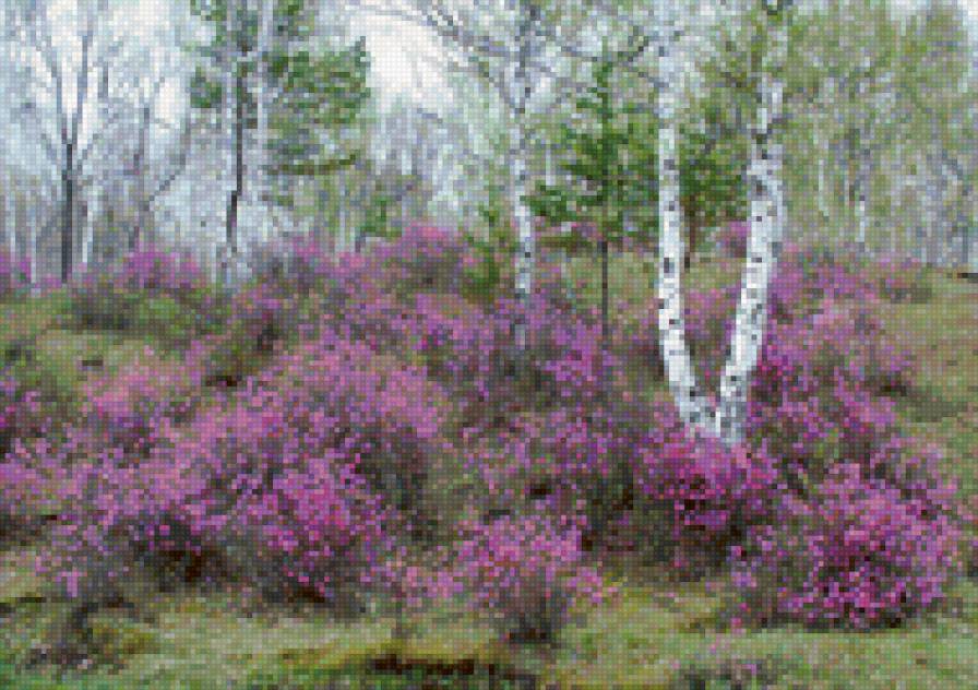 №3937 - предпросмотр