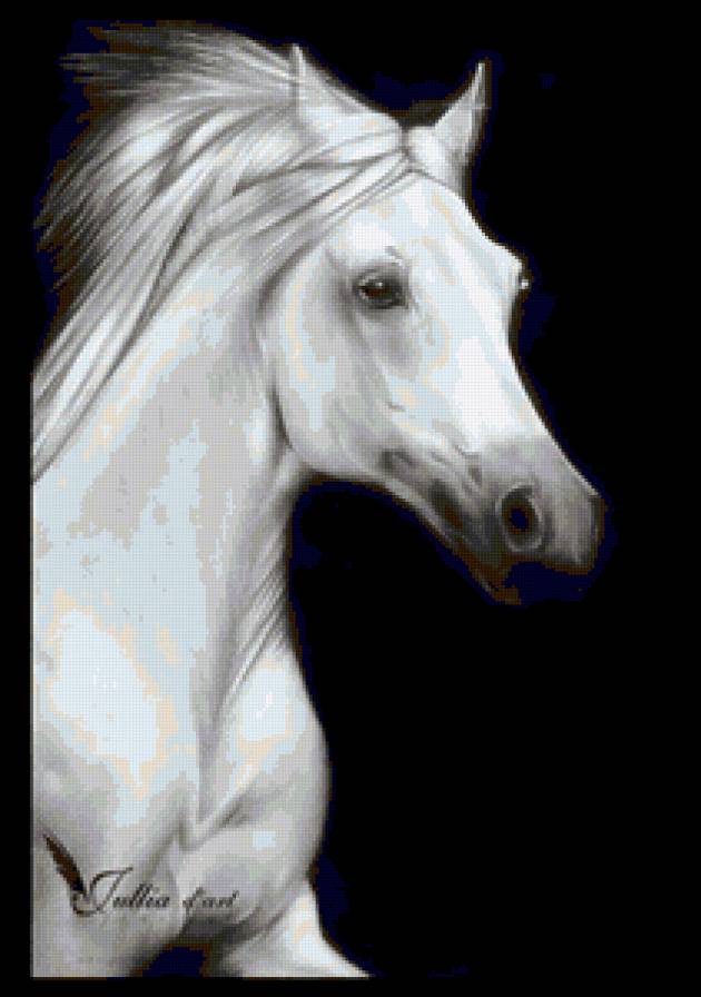 снежка - лошади - предпросмотр