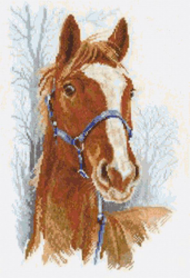 №4025 - предпросмотр