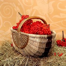 Схема вышивки «№4057»