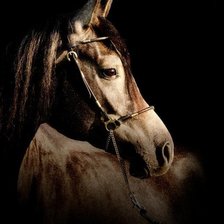 Схема вышивки «№4077»