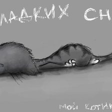 Схема вышивки «Котик»