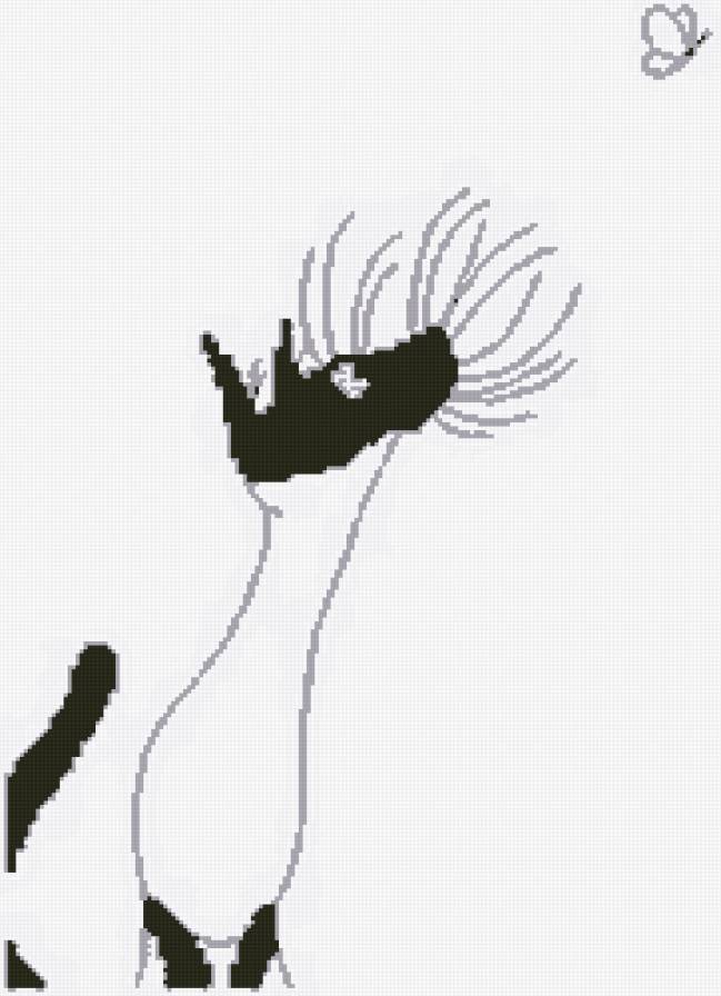 №79990990 - кот, бабочка - предпросмотр