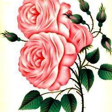 Схема вышивки «№4495»