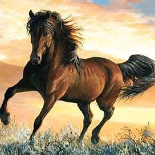 Схема вышивки «Лошадь»