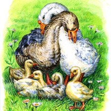Схема вышивки «Гуси»