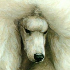 Схема вышивки «Белый пудель 2»