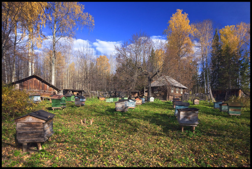 №4534 - оригинал