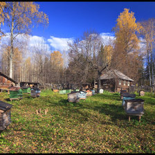 Схема вышивки «№4534»