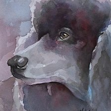 Схема вышивки «Акварель 3»