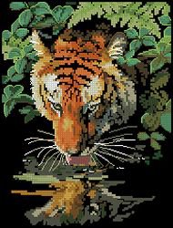 тигр - животные - оригинал