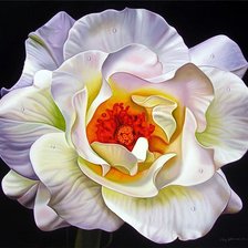 Схема вышивки «Подушка"Цветы"»