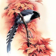 Схема вышивки «птица на ветке»